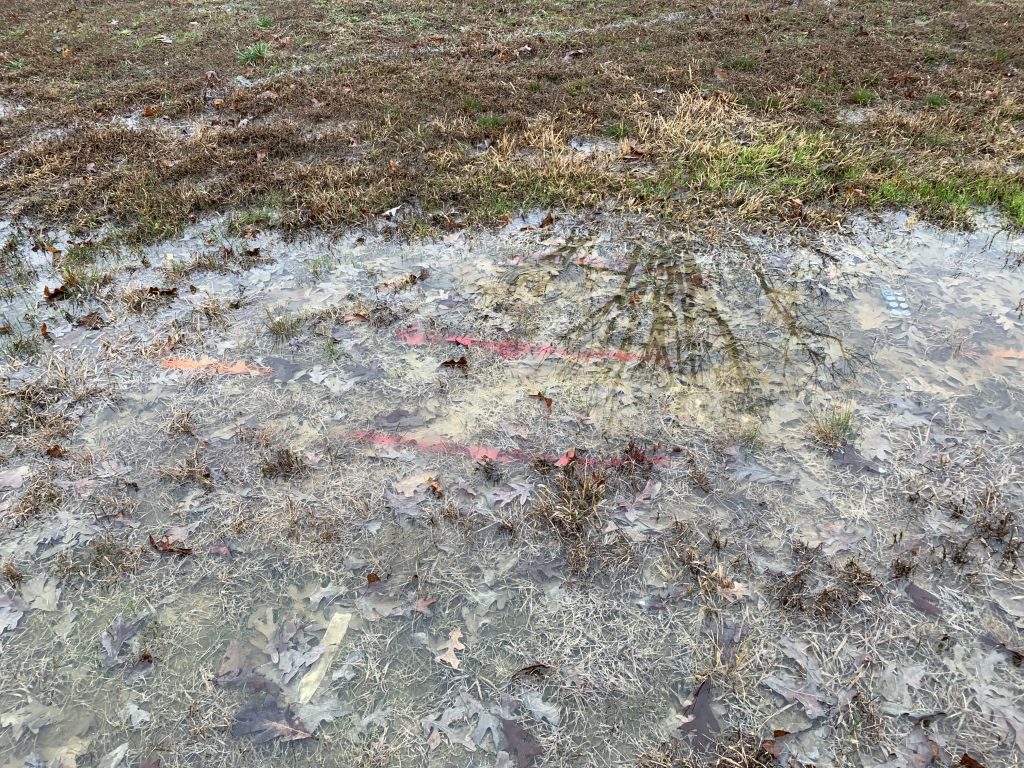 PROJECTS RF USA: Image 5. Ground under rainwater (02/25/2019)