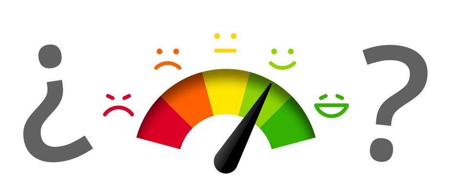 PROJECTS RF USA. Image 2. Indicator of the degree of customer satisfaction (Jun-2019)